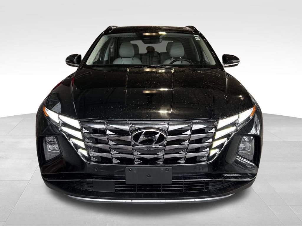 Used 2024 Hyundai Tucson Limited image 2