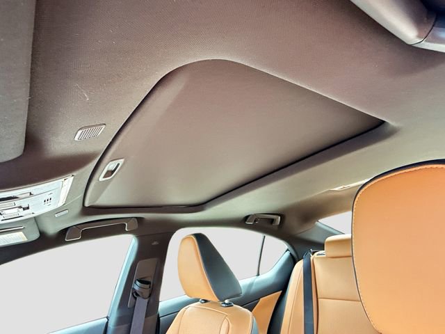 New 2026 Lexus IS 350 F Sport image 25