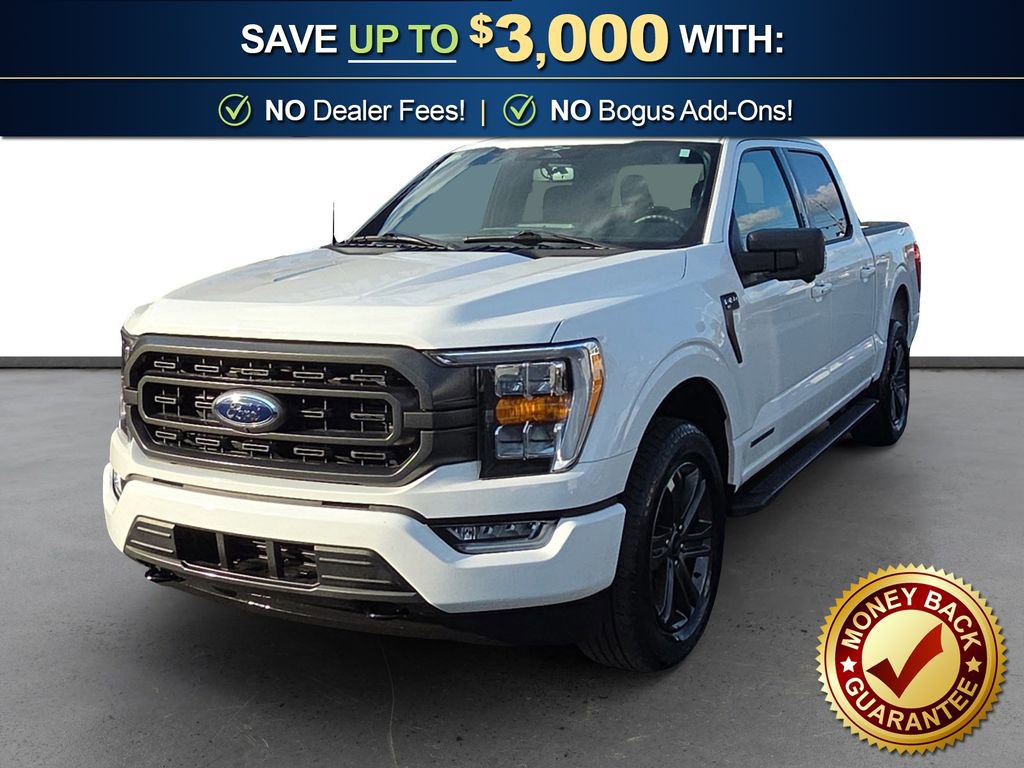 Used 2023 Ford F150 XLT w/ Equipment Group 302A High