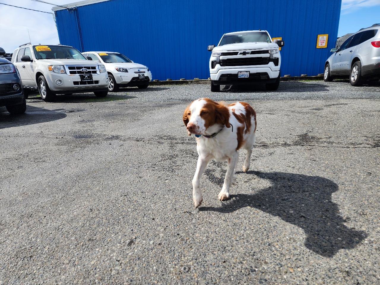 Used 2014 Cadillac ATS Premium image 44