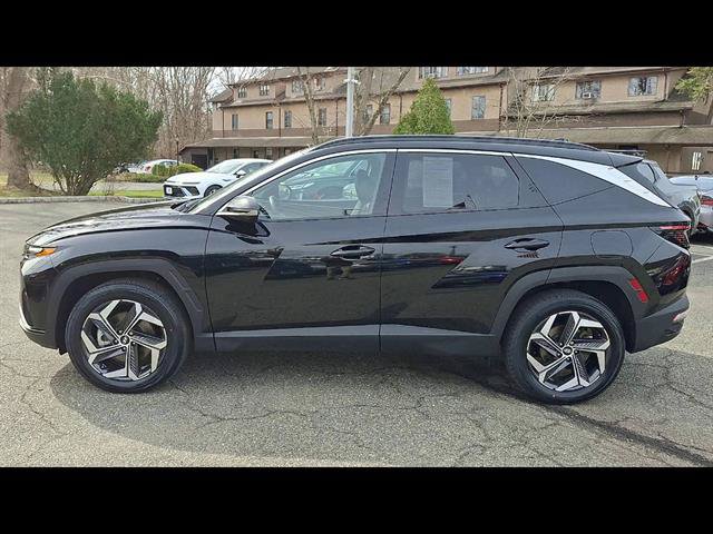 Certified 2023 Hyundai Tucson Limited AWD/4WD image 5