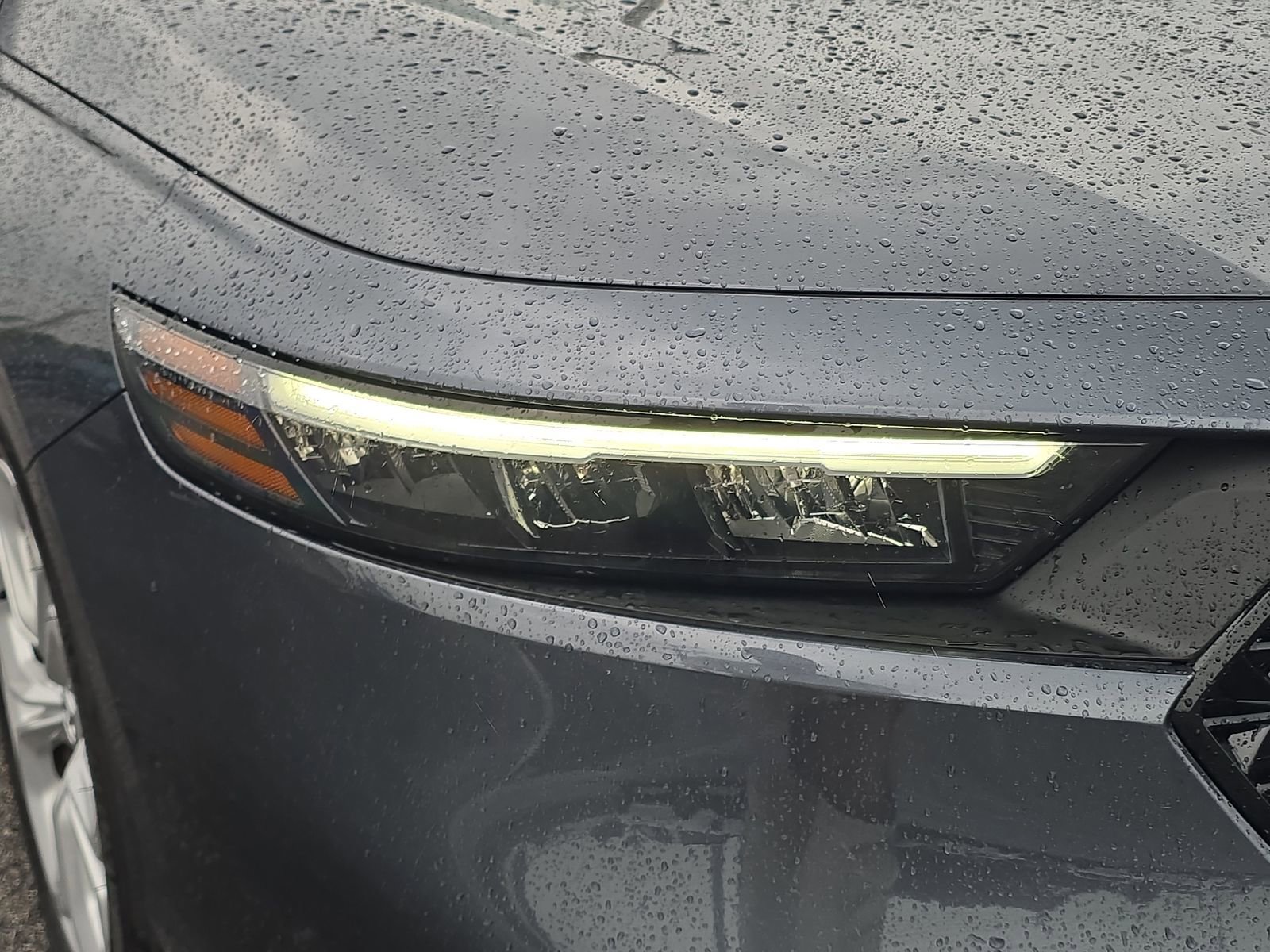 Certified 2025 Honda Accord LX image 7