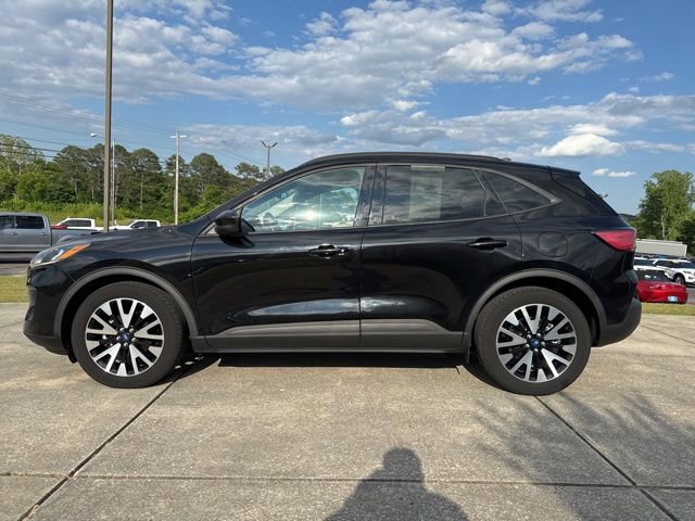Used 2020 Ford Escape SE Sport FWD image 4