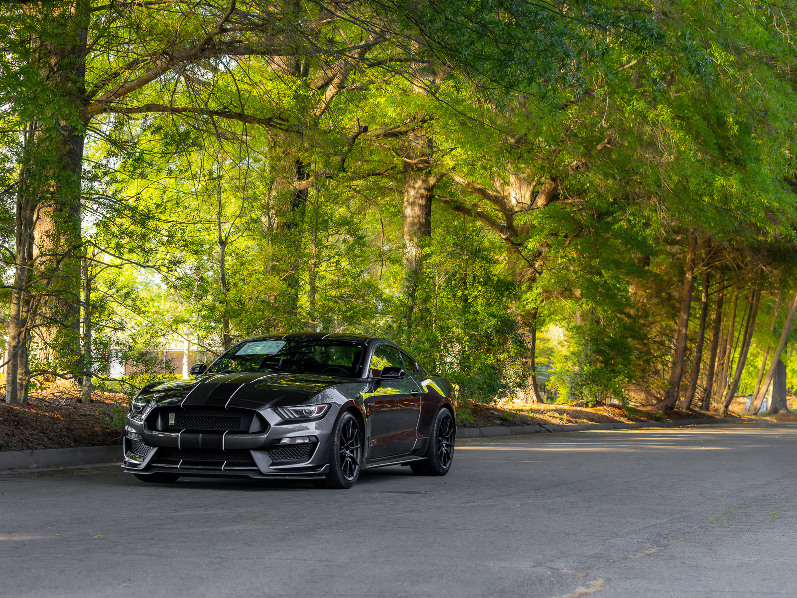 Used 2016 Ford Mustang Shelby GT350 w/ Technology Package RWD image 36