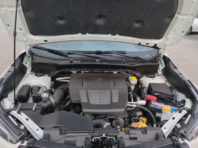 Used 2024 Subaru Forester Wilderness AWD/4WD image 41