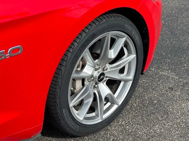 Used 2015 Ford Mustang GT Premium w/ Equipment Group 401A image 5