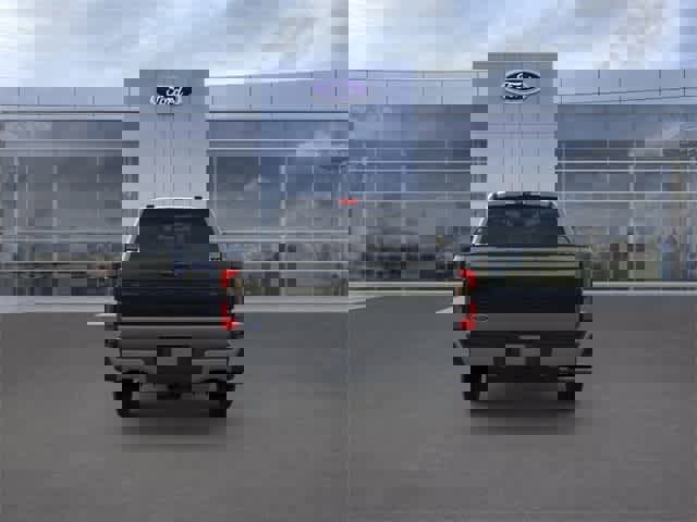 New 2025 Ford F250 Platinum image 5