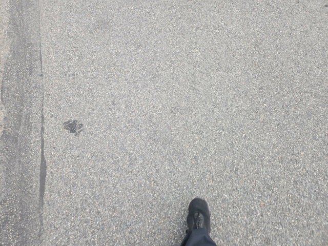 Used 2021 Chevrolet Silverado 1500 W/T w/ WT Fleet Convenience Package image 11