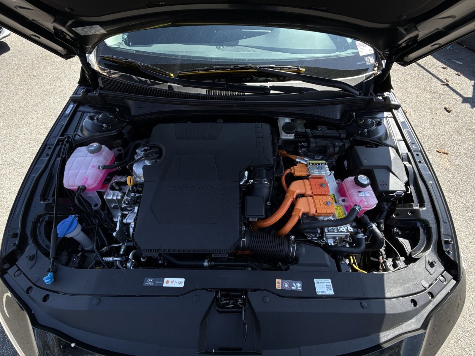 New 2026 Hyundai Elantra Blue image 26