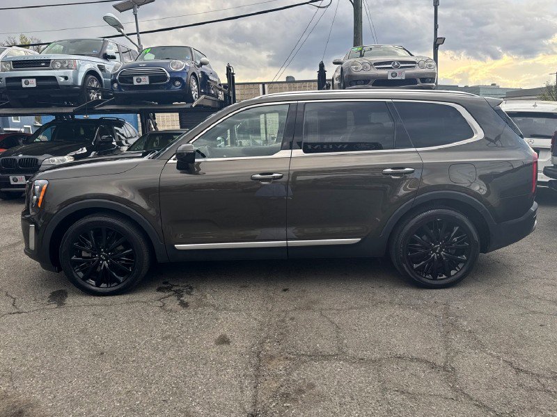 Used 2021 Kia Telluride SX w/ SX Prestige Package image 7