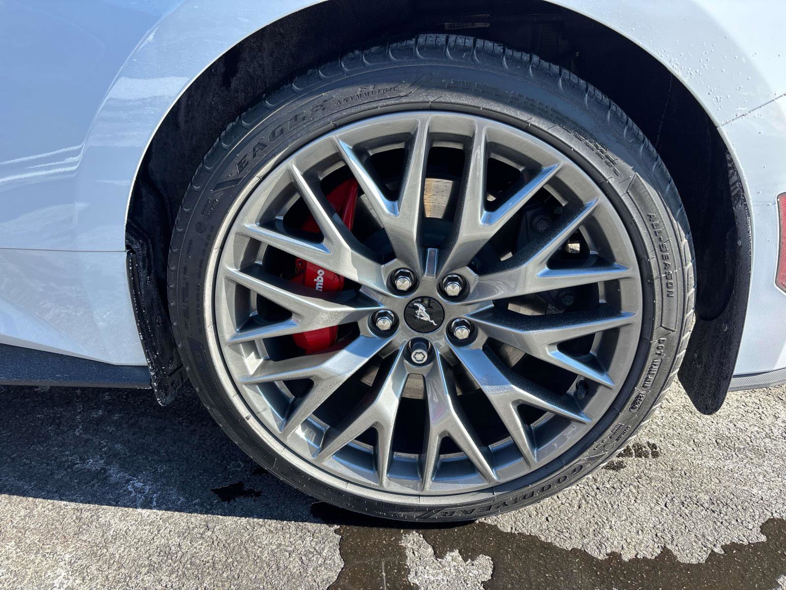 Used 2024 Ford Mustang GT Premium image 30