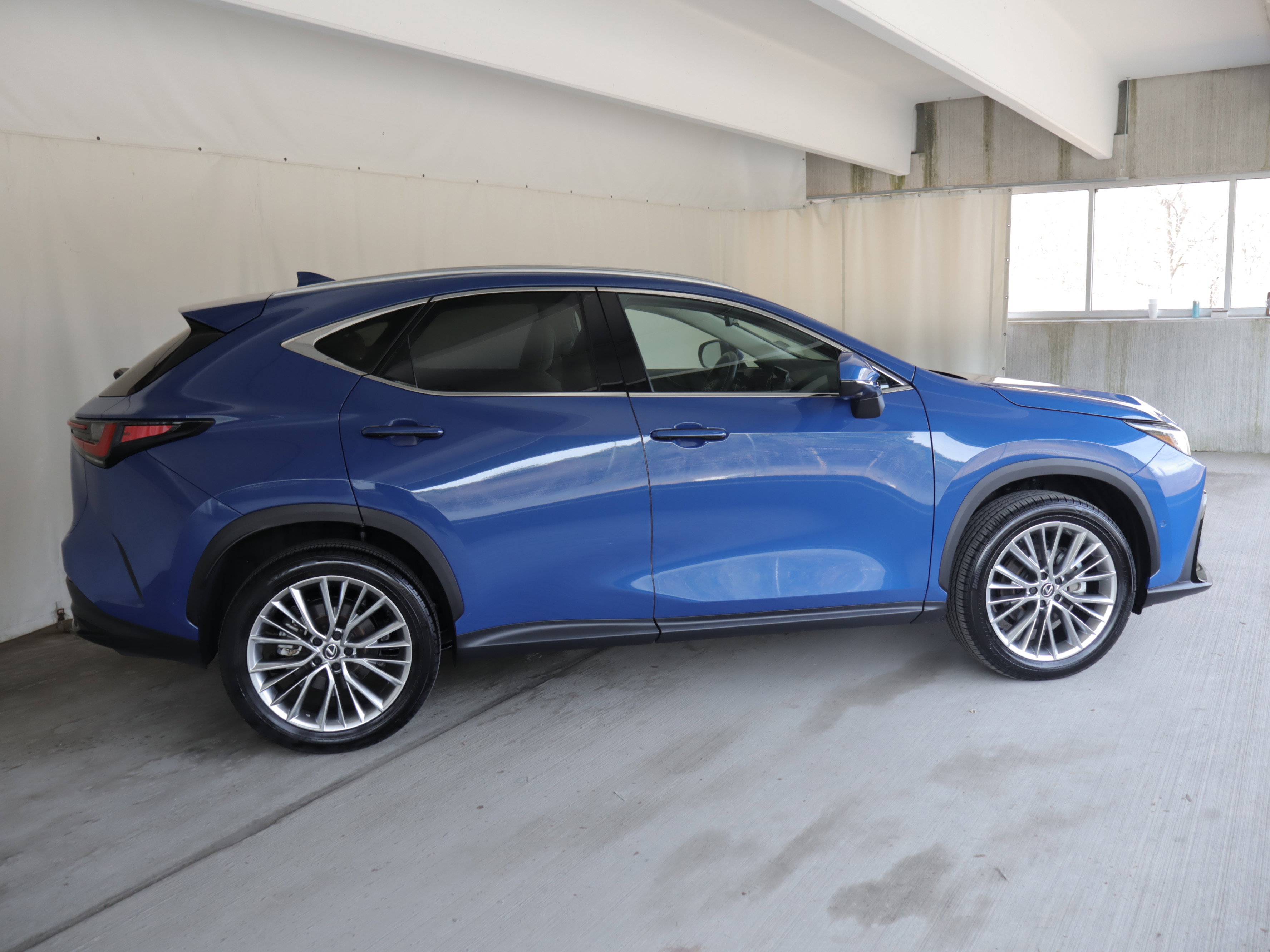 Used 2025 Lexus NX 350 AWD w/ Rear Seat Package image 6