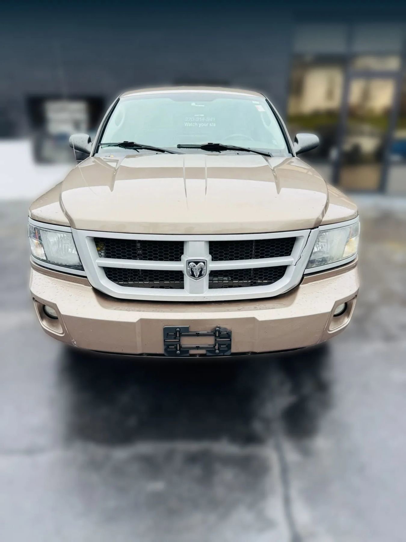 Used 2010 Dodge Dakota Big Horn image 8