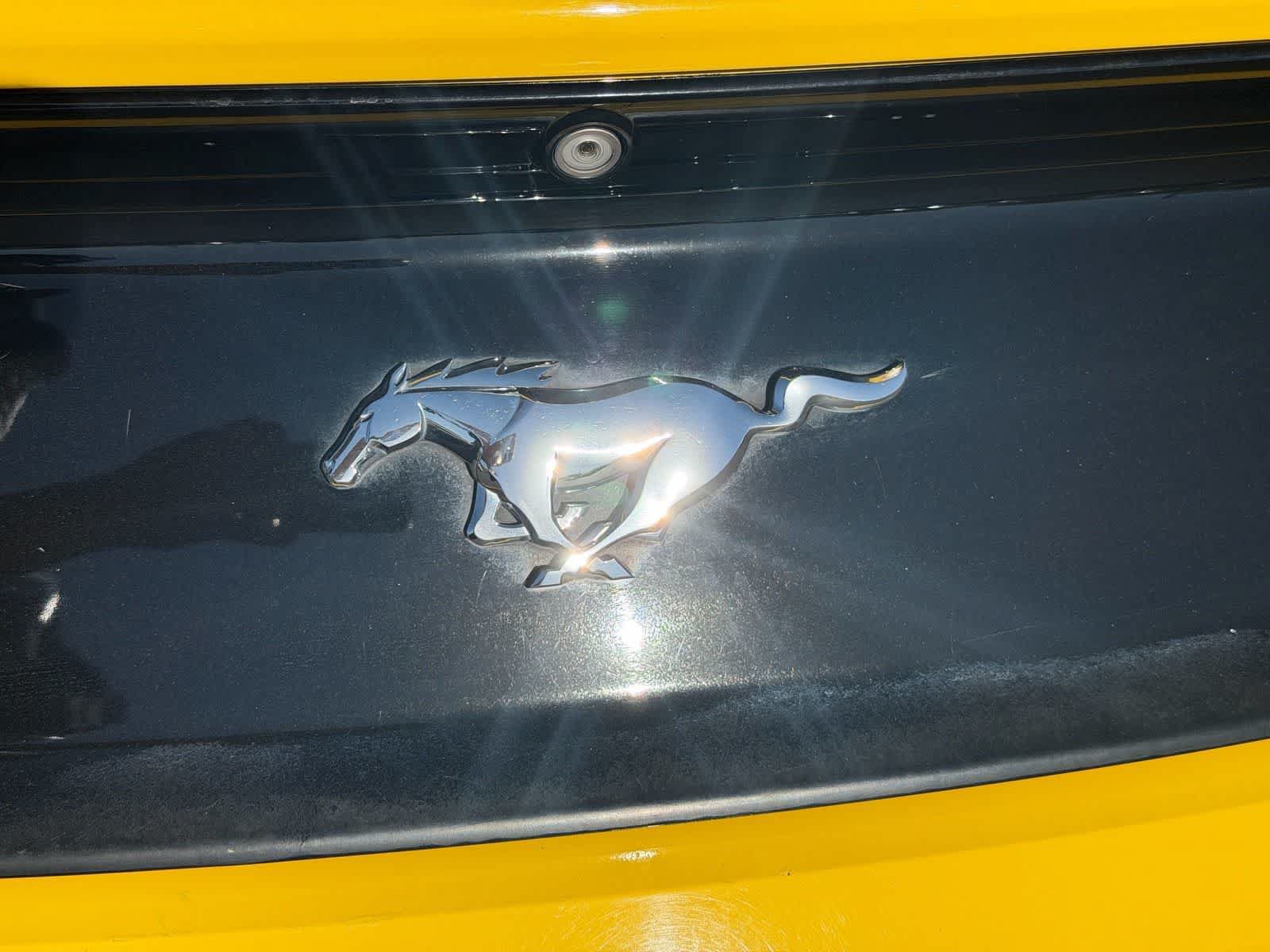 Used 2016 Ford Mustang Premium RWD image 28