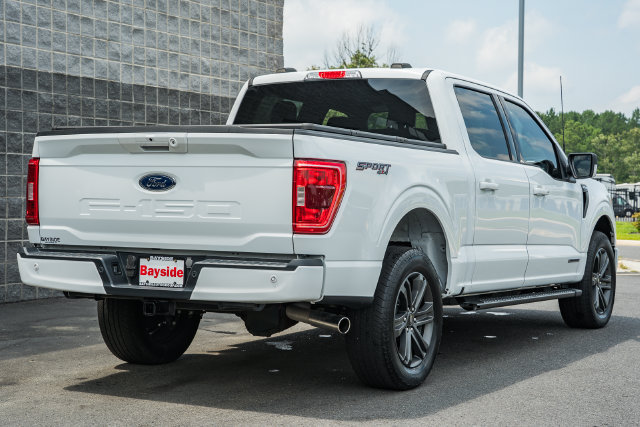 Used 2023 Ford F150 XLT w/ Equipment Group 302A High AWD/4WD image 8