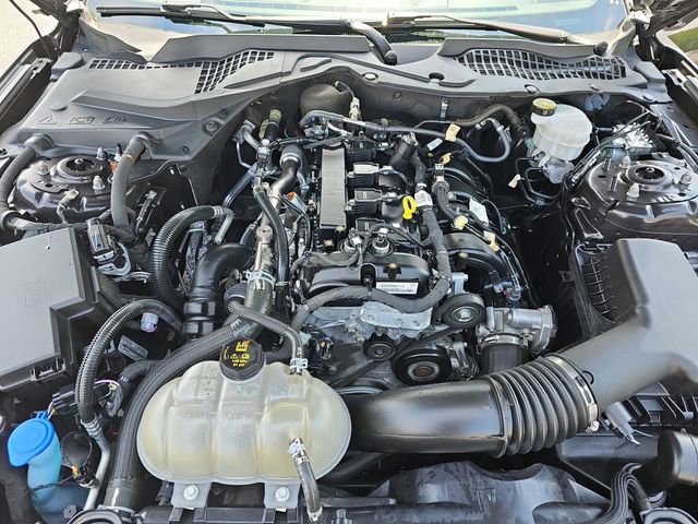 Used 2023 Ford Mustang Coupe w/ Equipment Group 101A image 30