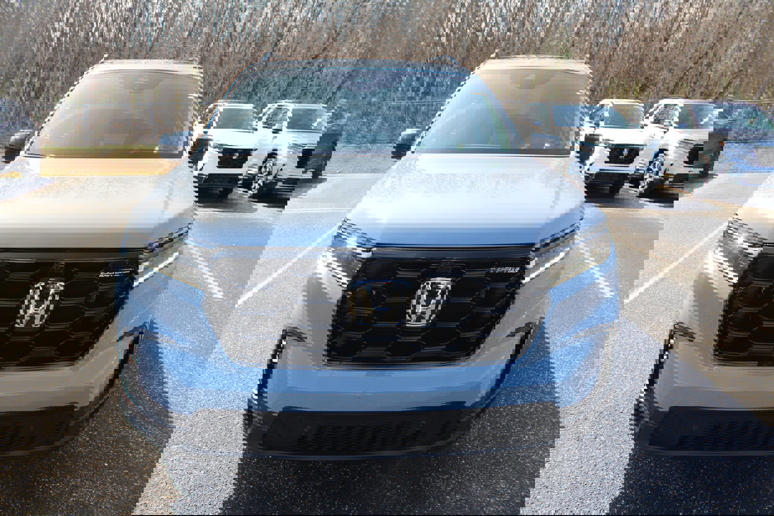 New 2025 Honda Pilot Black Edition image 2