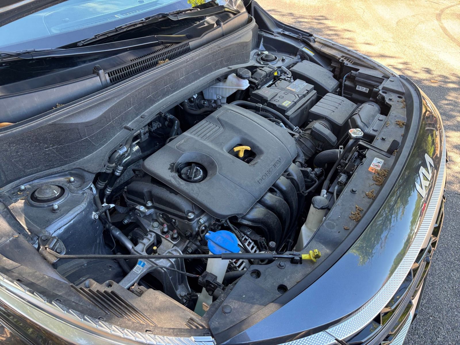 Used 2025 Kia Seltos S image 27