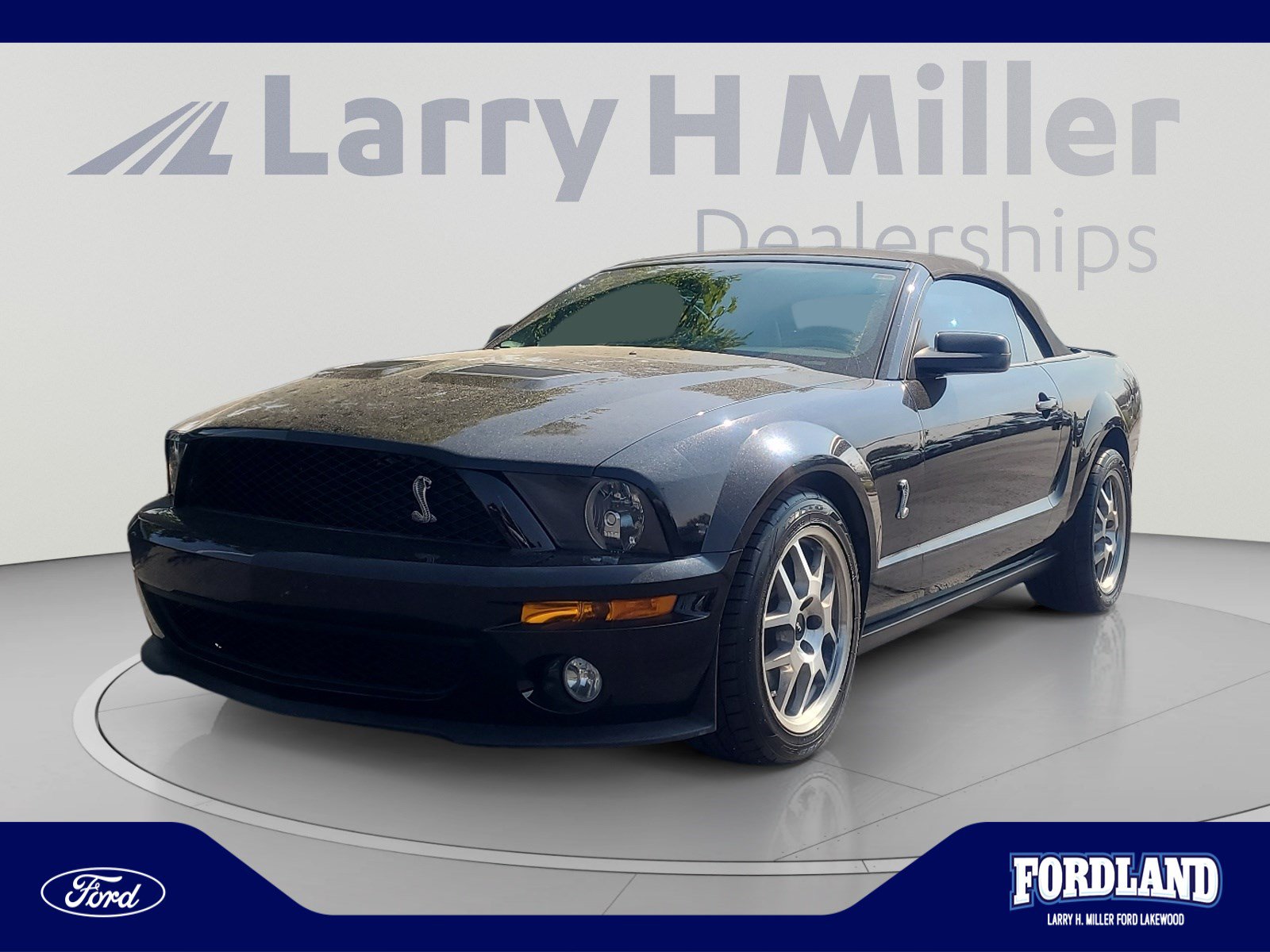 Used 2008 Ford Mustang Shelby GT500