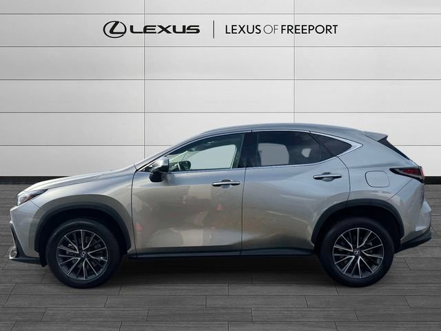 Used 2025 Lexus NX 350 AWD w/ Cold Area Package image 4