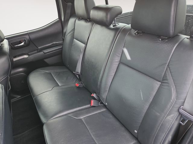 Used 2023 Toyota Tacoma Limited w/ Nightshade Package AWD/4WD image 13