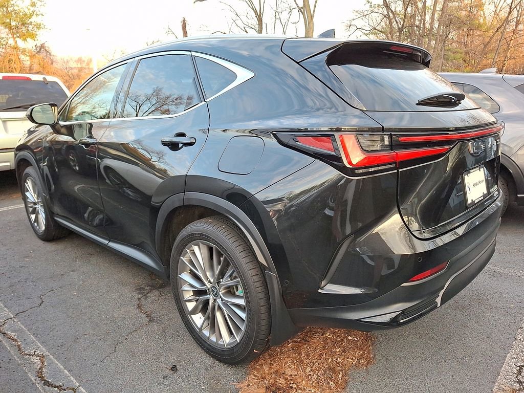 Used 2024 Lexus NX 350h 350h Luxury w/ Vision Package image 6