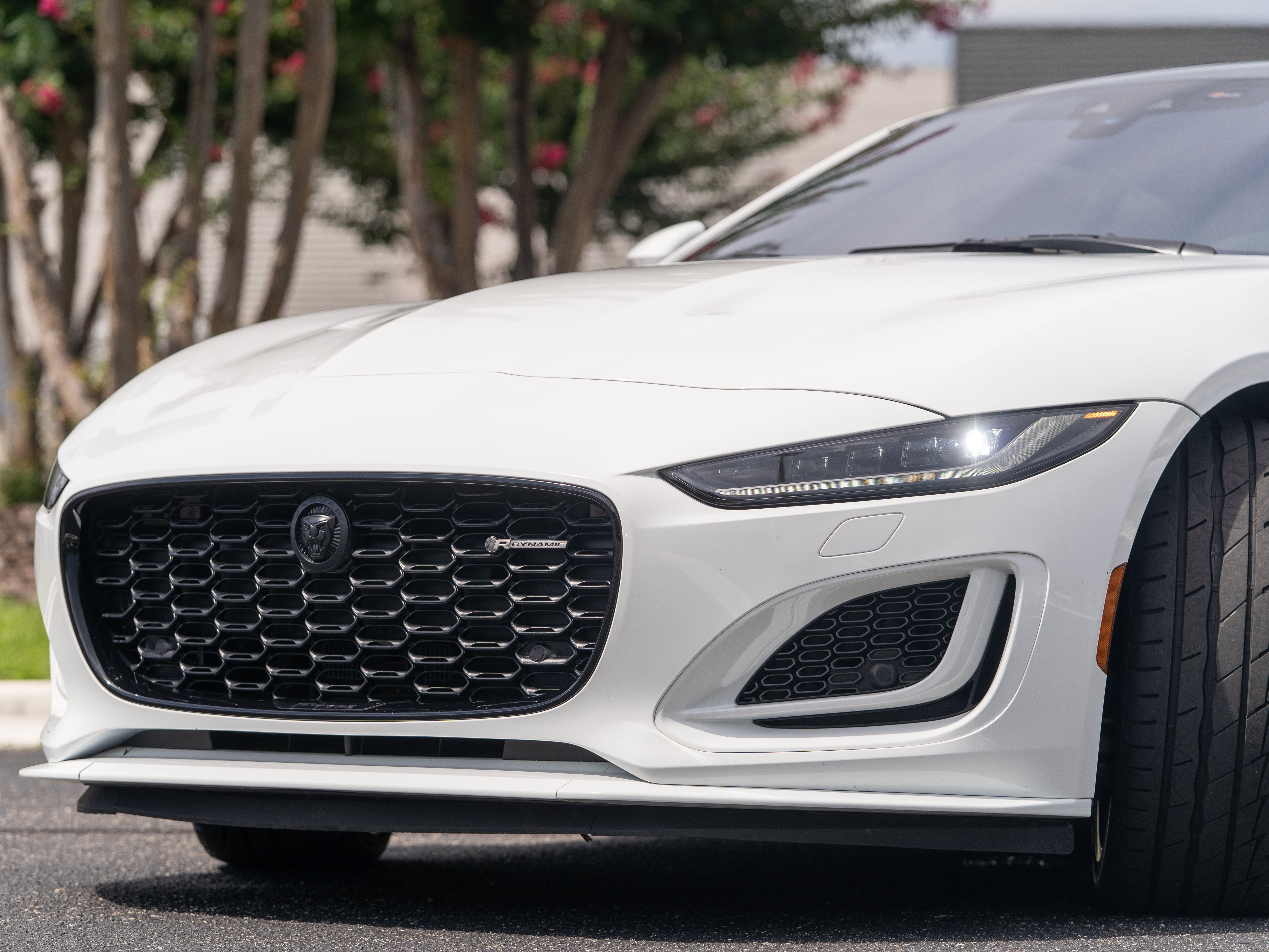 Used 2024 Jaguar F-TYPE R-Dynamic RWD image 37