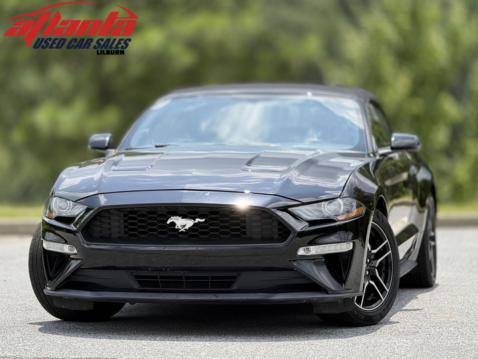 Used 2019 Ford Mustang Premium RWD image 1