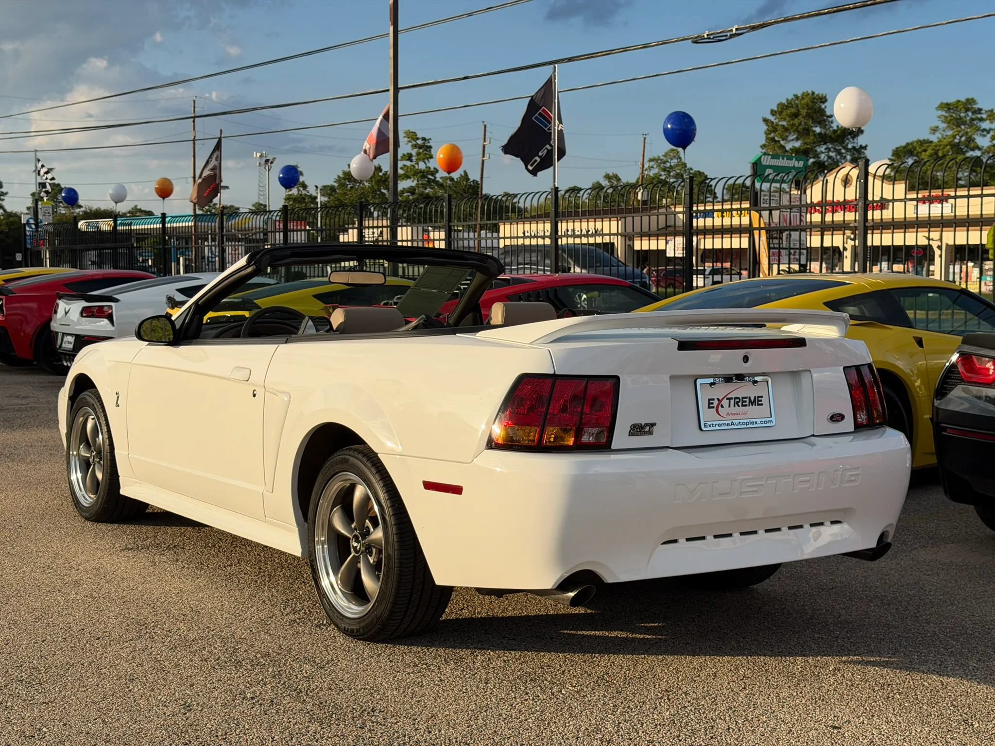 Used 1999 Ford Mustang Cobra RWD image 8