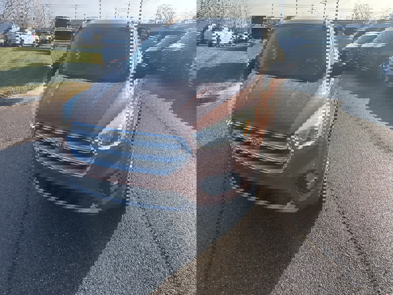 Used 2017 Ford Escape SE w/ Equipment Group 201A image 3