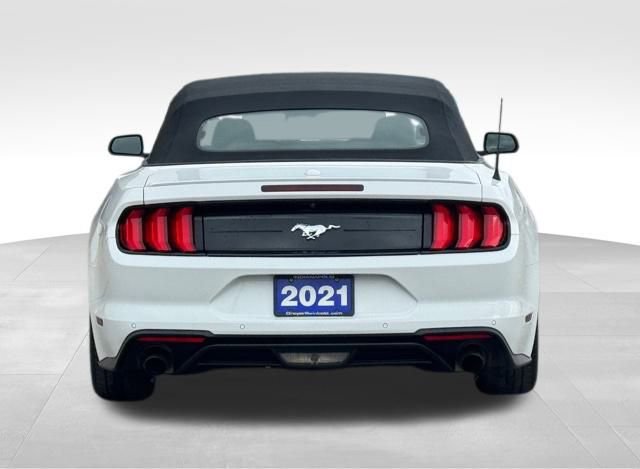 Used 2021 Ford Mustang Premium image 6