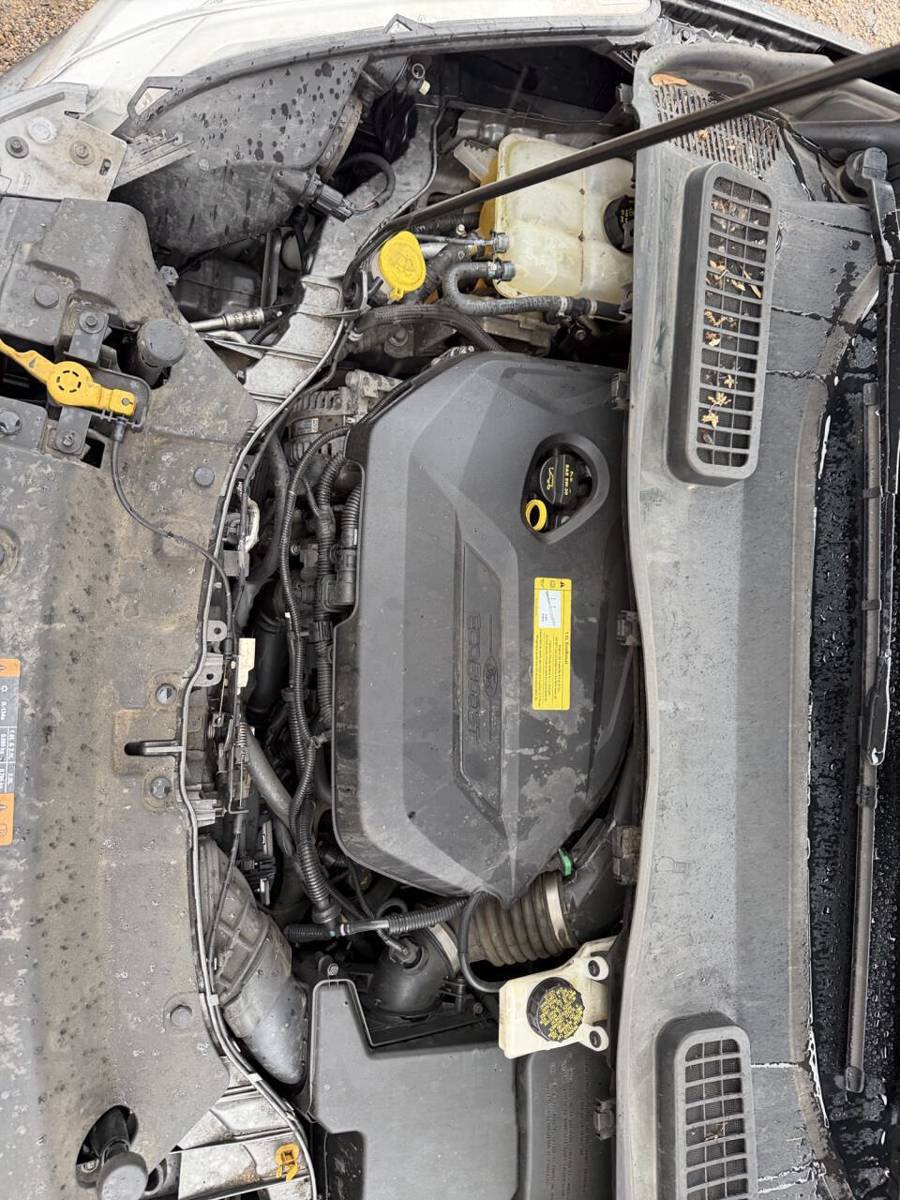 Used 2014 Ford Escape SE AWD/4WD image 37