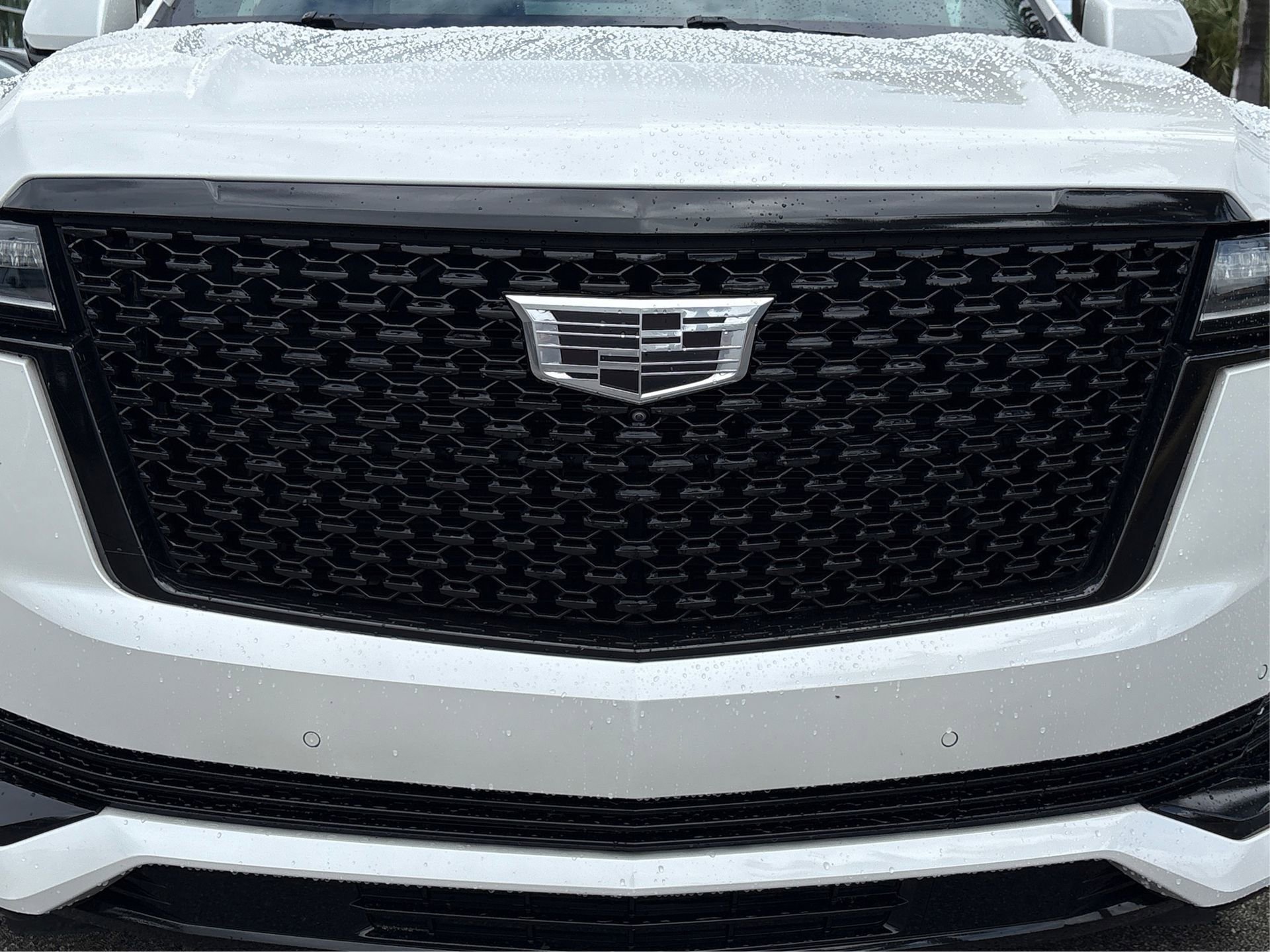 Used 2021 Cadillac Escalade ESV Premium Luxury image 14