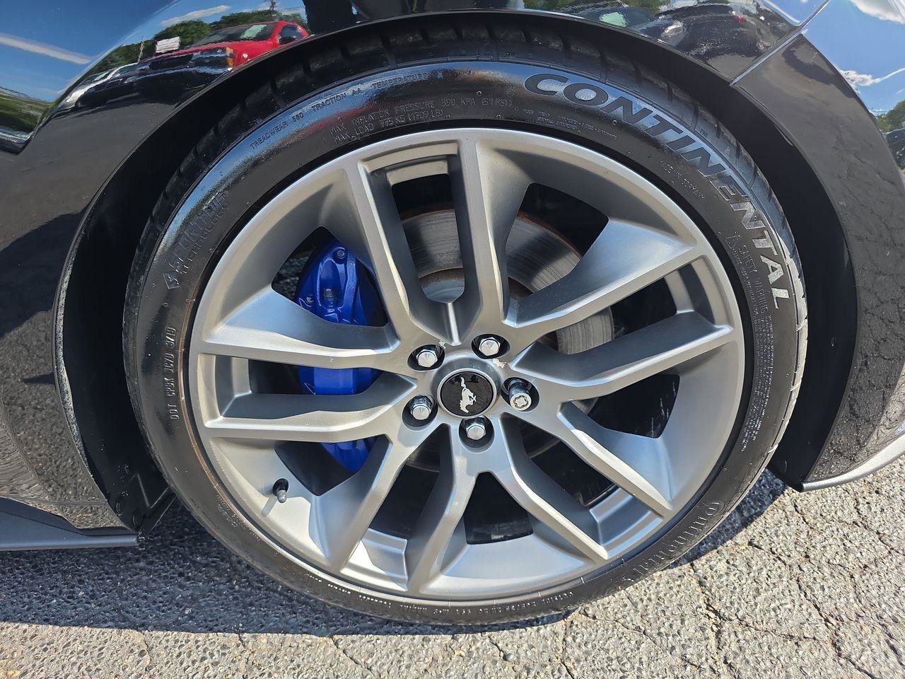 Used 2015 Ford Mustang GT Premium w/ Equipment Group 401A RWD image 14
