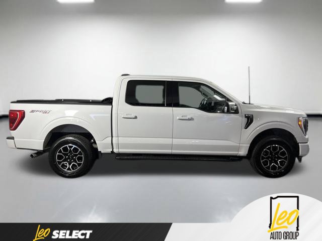 Used 2023 Ford F150 XLT w/ Equipment Group 302A High AWD/4WD image 5