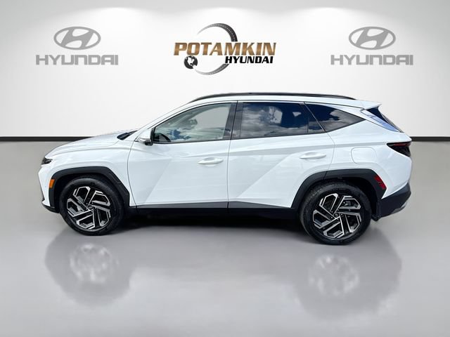 Used 2026 Hyundai Tucson Limited FWD image 8