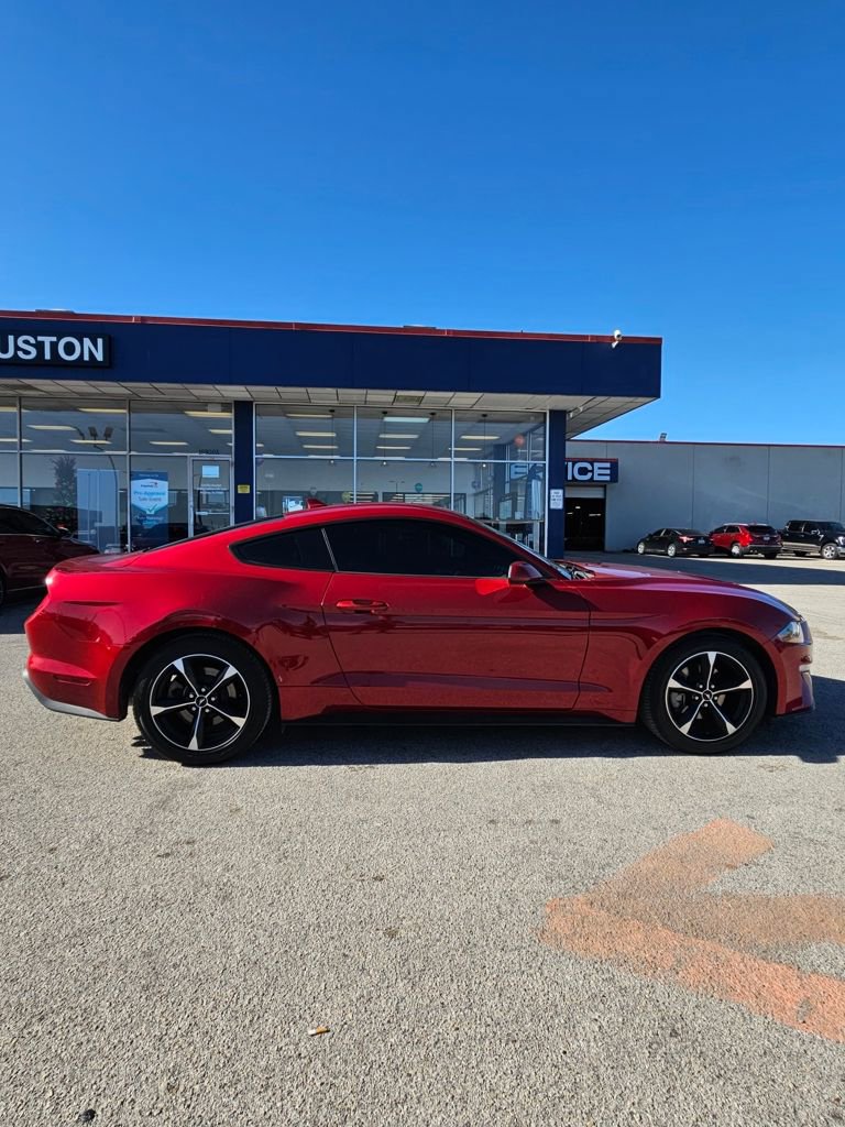 Used 2023 Ford Mustang Coupe w/ Equipment Group 101A RWD image 8