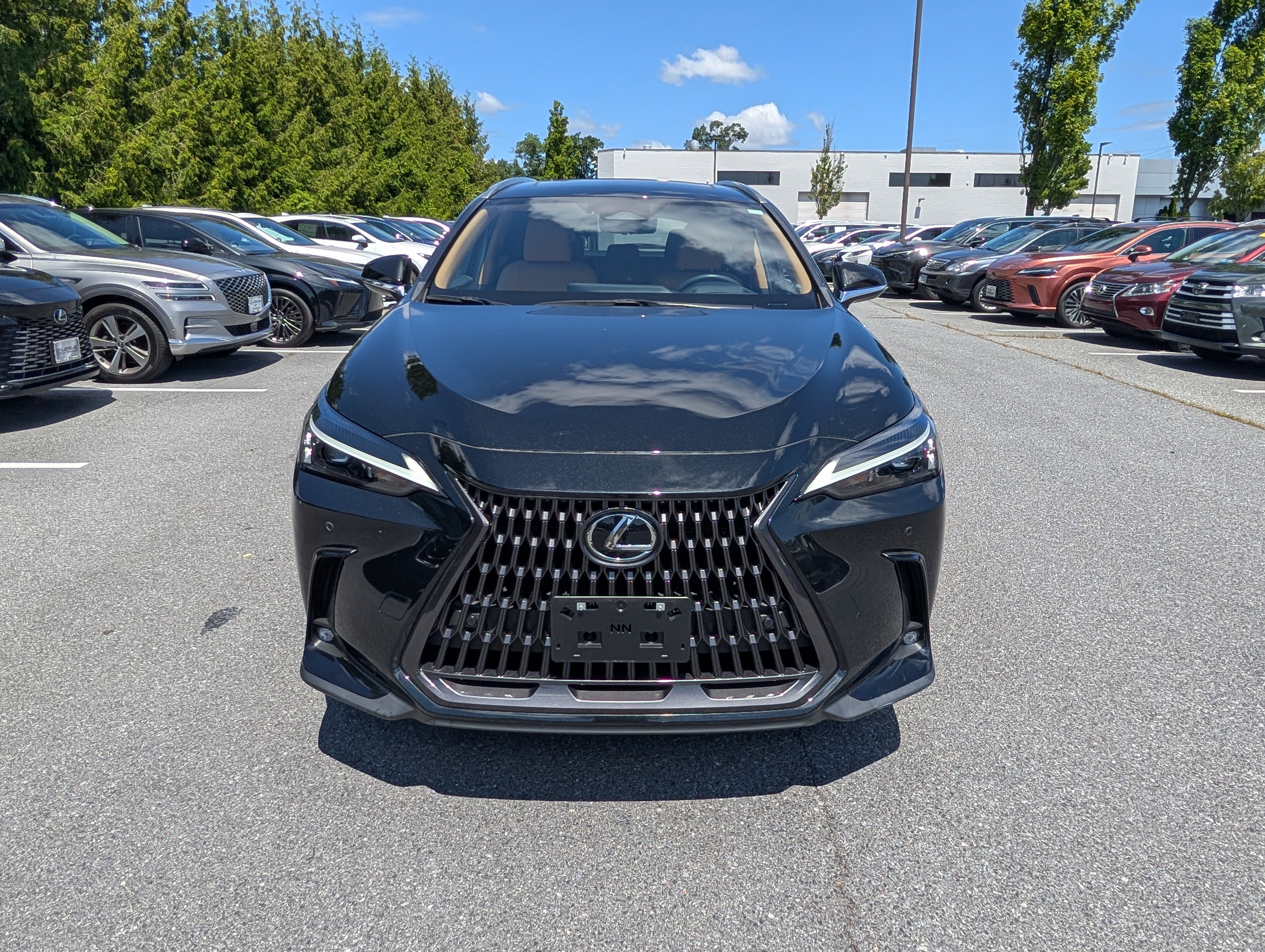 Certified 2024 Lexus NX 350h AWD image 8