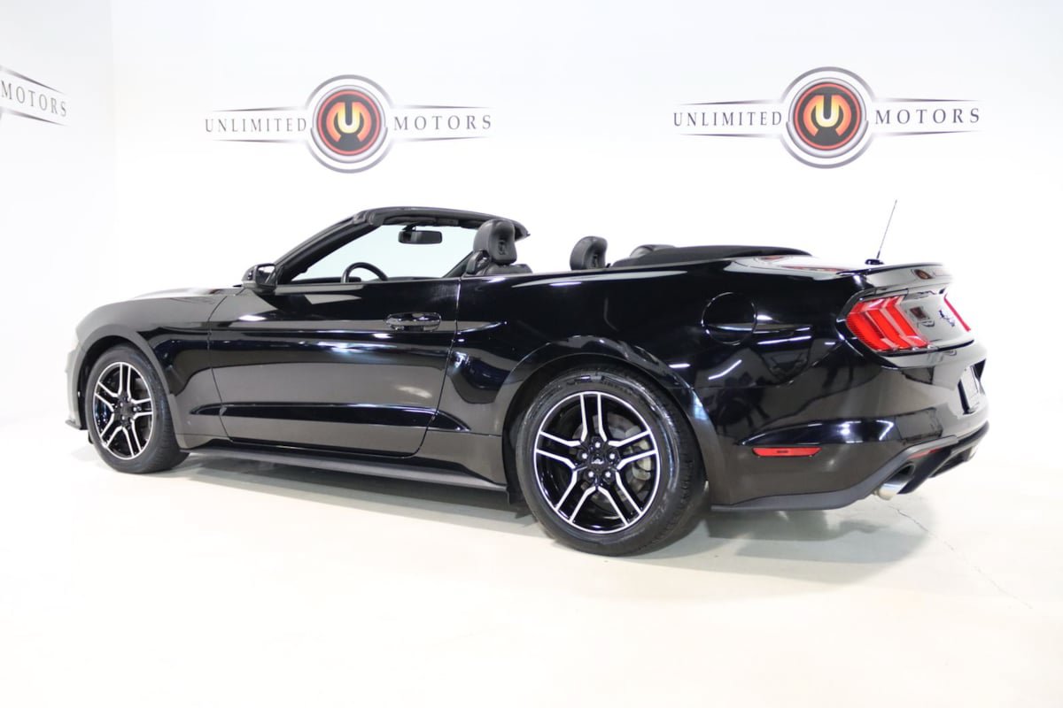 Used 2019 Ford Mustang Premium RWD image 4
