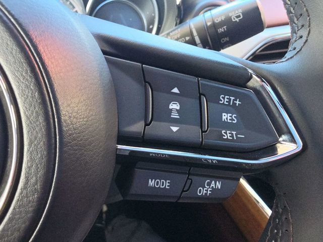 Used 2017 MAZDA CX-9 Signature AWD/4WD image 33