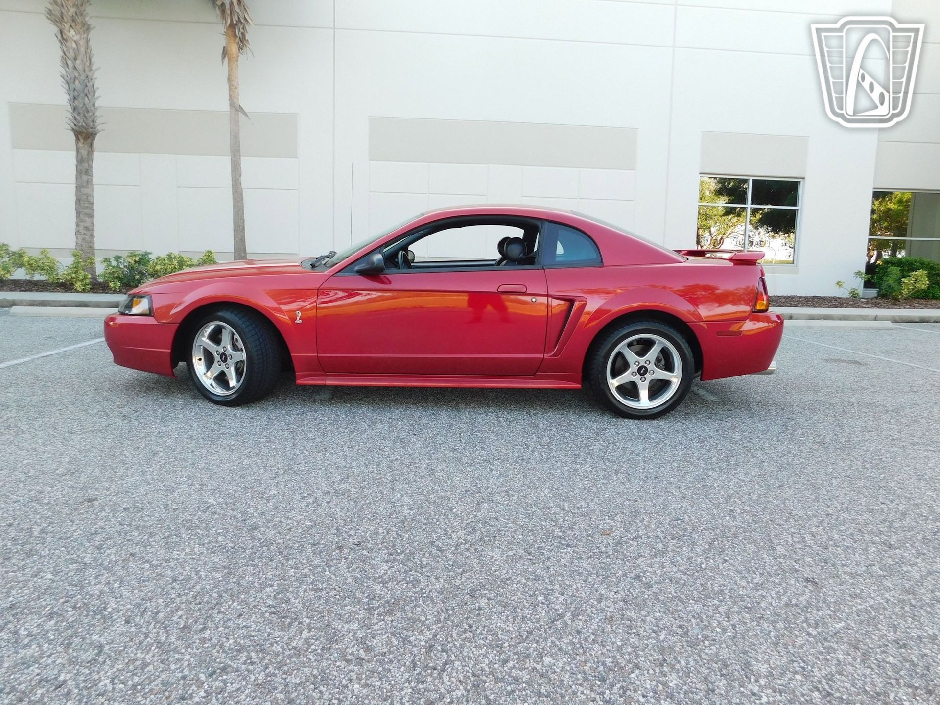 Used 2001 Ford Mustang Cobra image 5