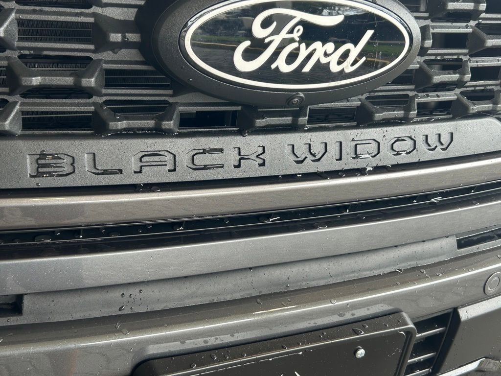 New 2025 Ford F150 XLT w/ Equipment Group 303A High image 22