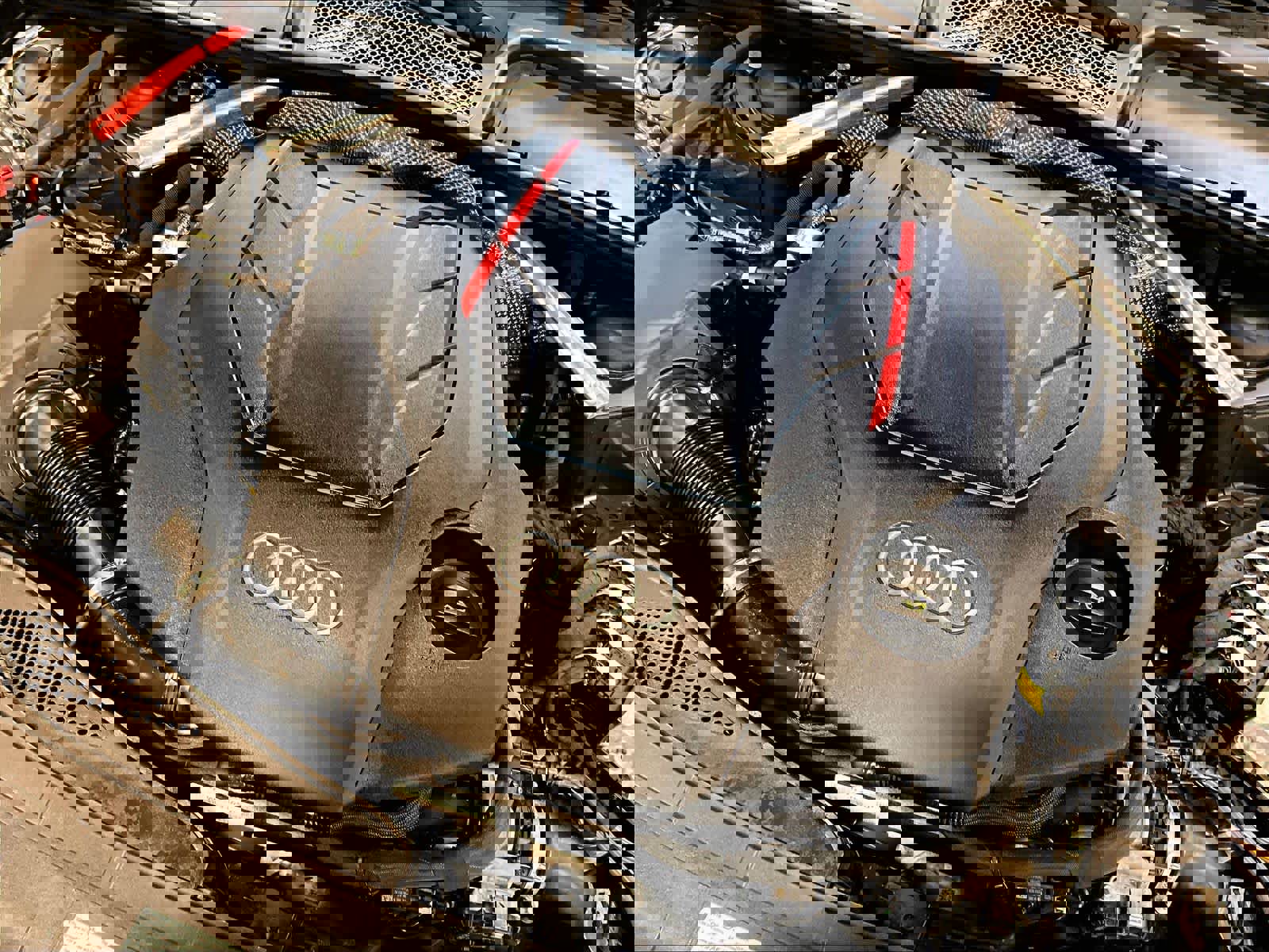 Used 2024 Audi S5 Premium Plus image 35