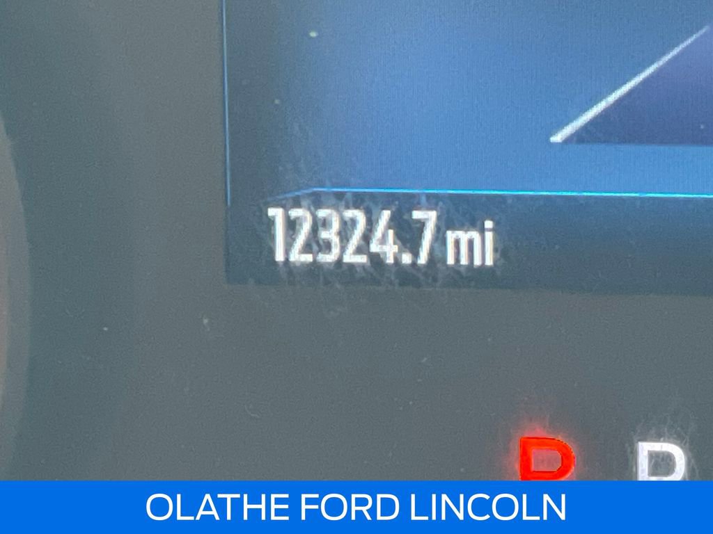 Used 2024 Ford F550 2WD Regular Cab Super Duty w/ XL Chrome Package image 14