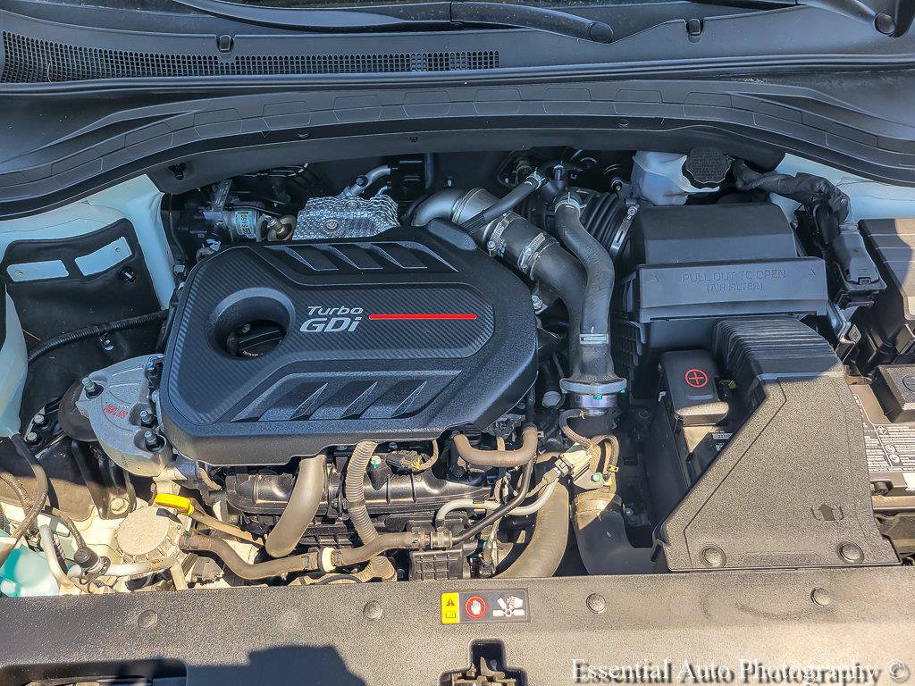 Used 2019 Hyundai Santa Fe AWD image 29