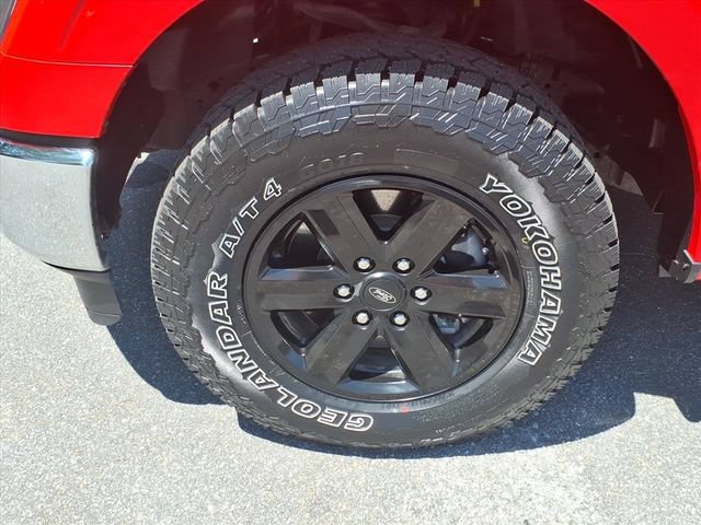 Used 2023 Ford F150 XL w/ XL Chrome Appearance Package AWD/4WD image 9