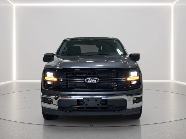 Used 2025 Ford F150 XLT w/ Equipment Group 301A Standard AWD/4WD image 4