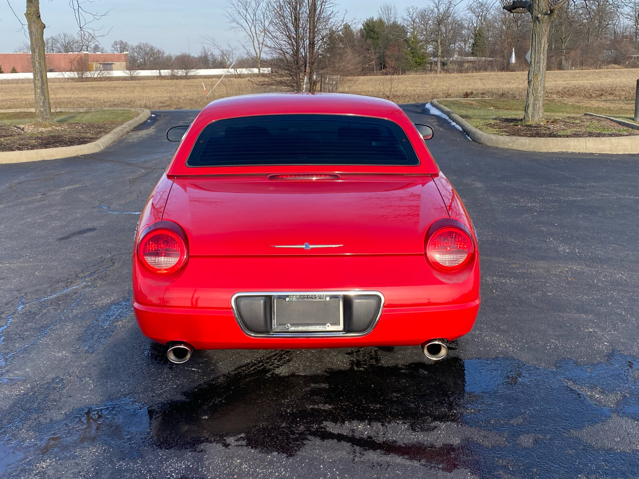 Used 2002 Ford Thunderbird Deluxe image 6