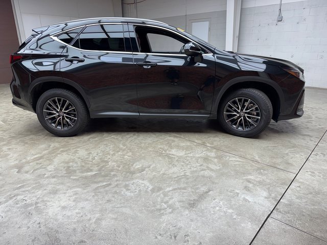 Used 2024 Lexus NX 350h AWD w/ Premium Package image 6