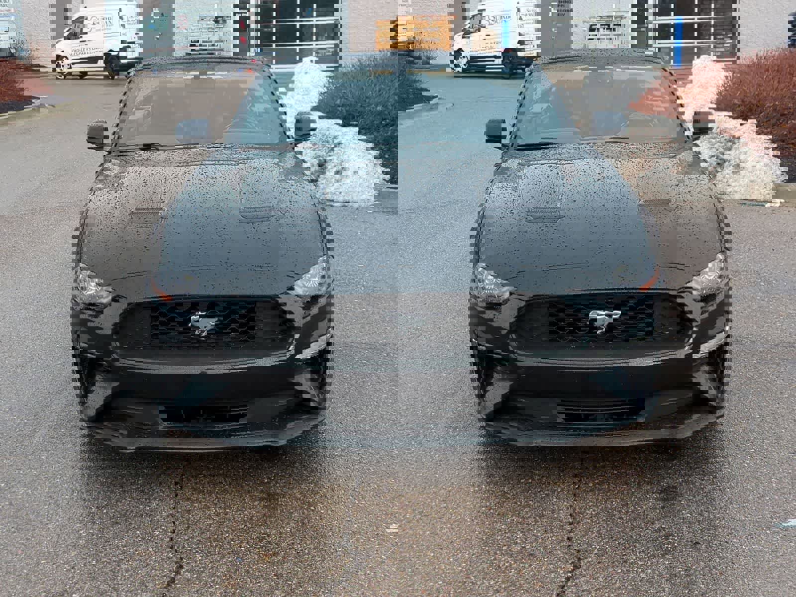 Used 2018 Ford Mustang EcoBoost w/ Equipment Group 101A image 3